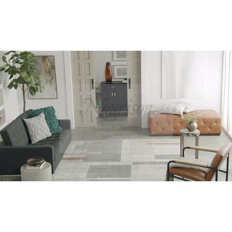 Thalia Geometric Grey Multicolor Easy-Care Synthetic Area Rug 6' x 9'