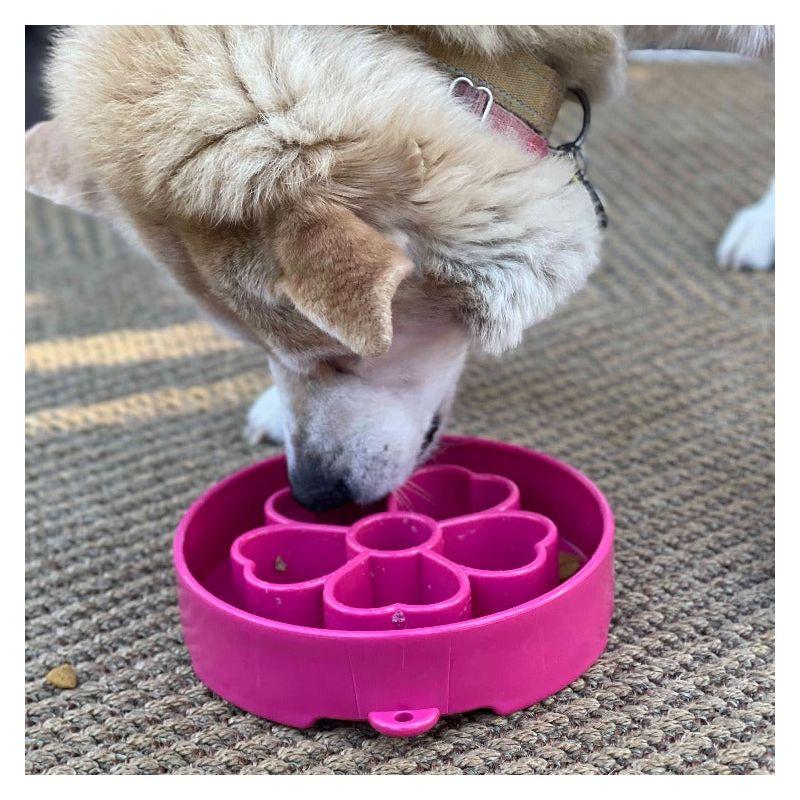 Flower Design eBowl Enrichment Slow Feeder Bowl for Dogs