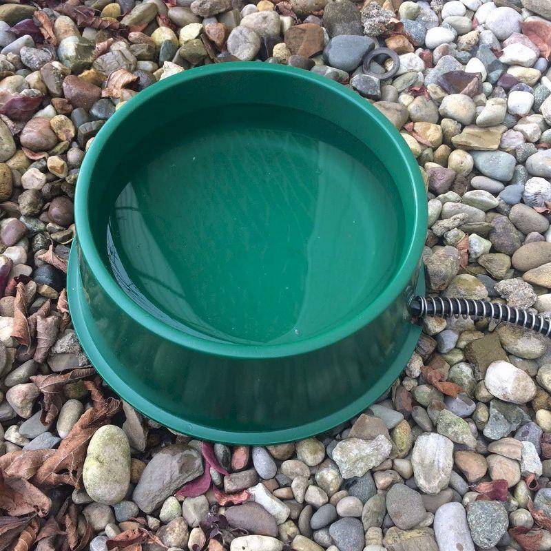 Green Heated Pet Water Bowl with Anti-Chew Cord Protector