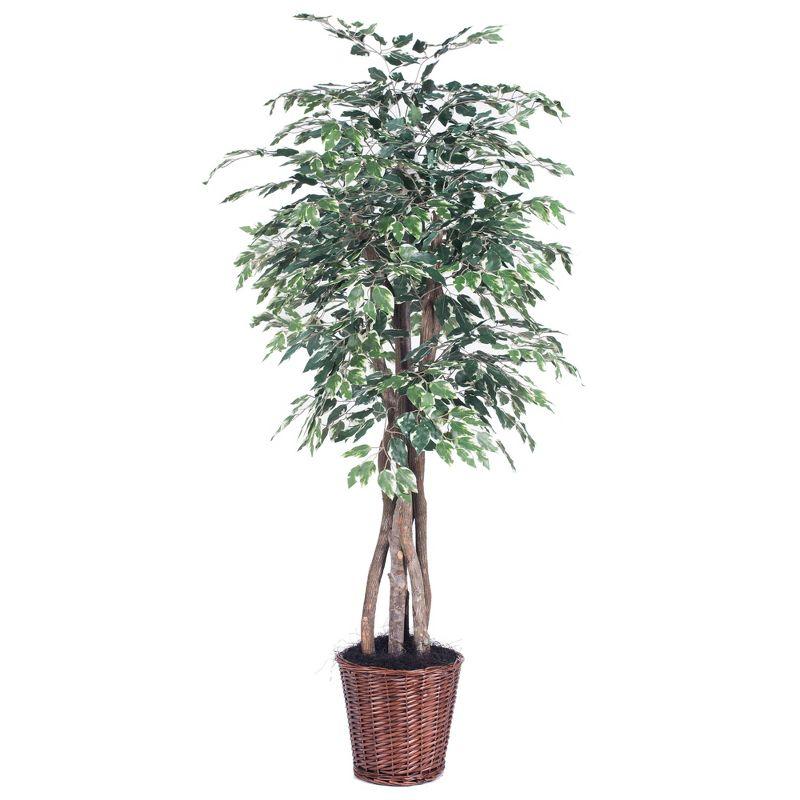 Outdoor Silk Ficus Topiary in Green and White Pot