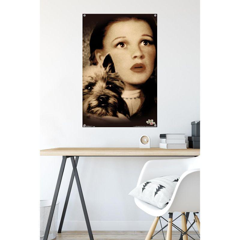 Trends International The Wizard Of Oz - Duo Unframed Wall Poster Print Clear Push Pins Bundle 22.375" x 34"