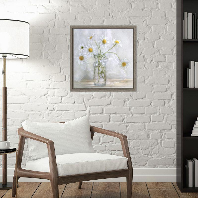 Amanti Art Daisies by Mandy Disher Canvas Wall Art Print Framed 16 x 16-in.