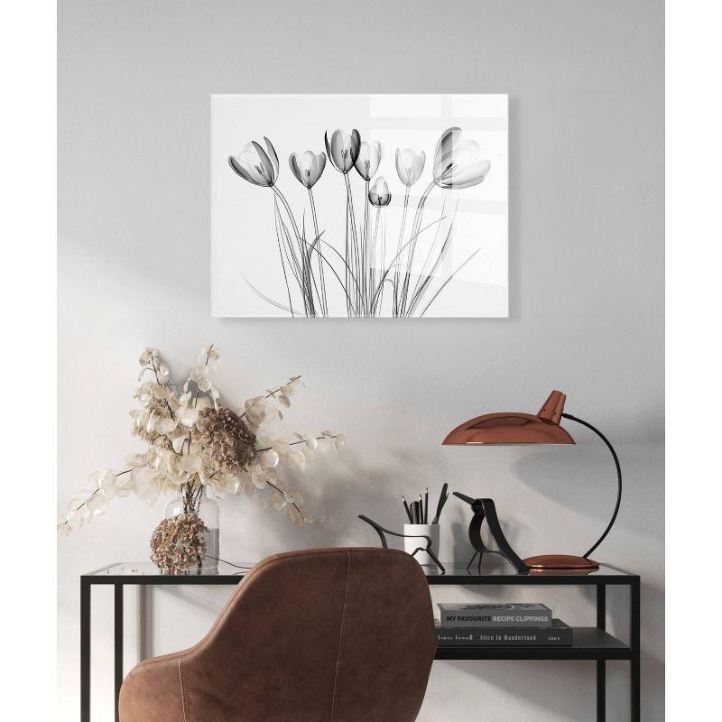 23" x 31" Crocus X Ray Floral by The Creative Bunch Studio Floating Acrylic Art - Kate & Laurel All Things Decor