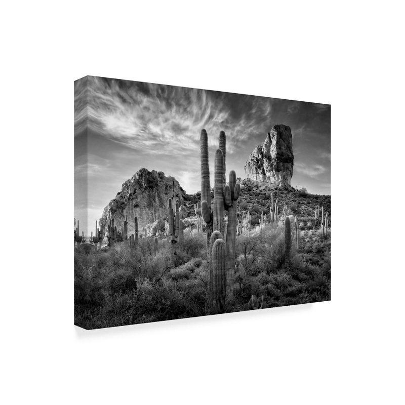 Black and White Desert Landscape Canvas Print, 18x24