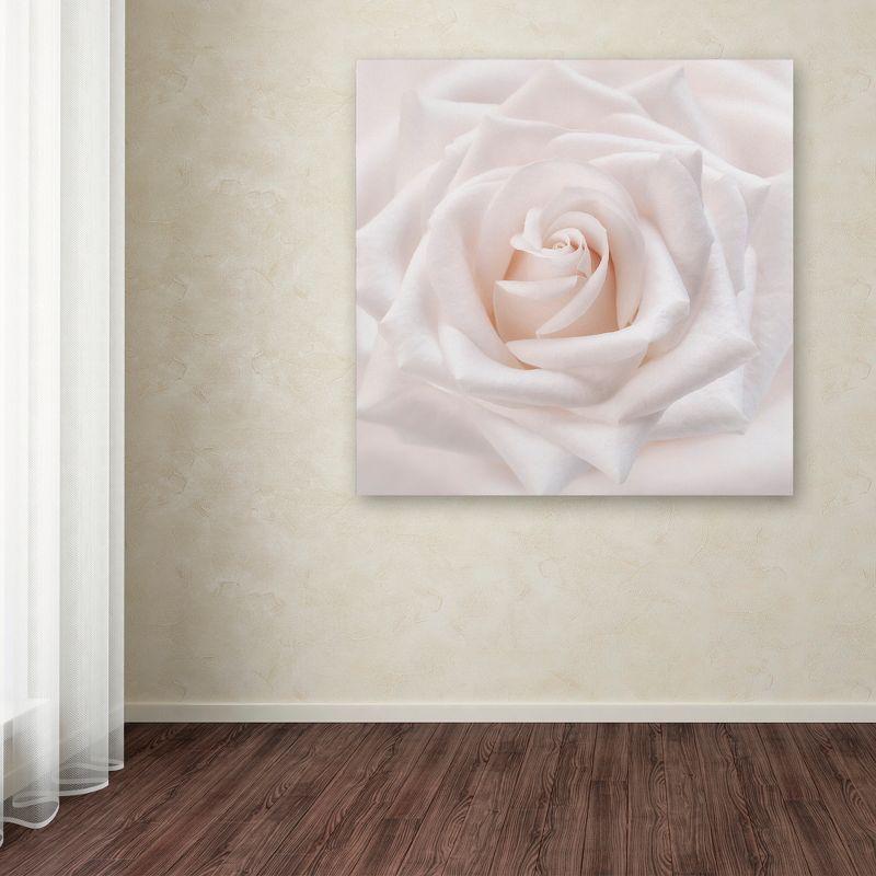 Trademark Fine Art -Cora Niele 'Soft White Rose' Canvas Art