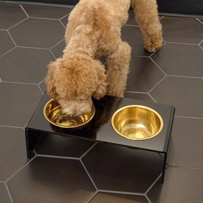 THE LICKER STORE Keaton Modern Lucite Rectangular Elevated Pet Feeder with 2-Stainless Steel Bowls