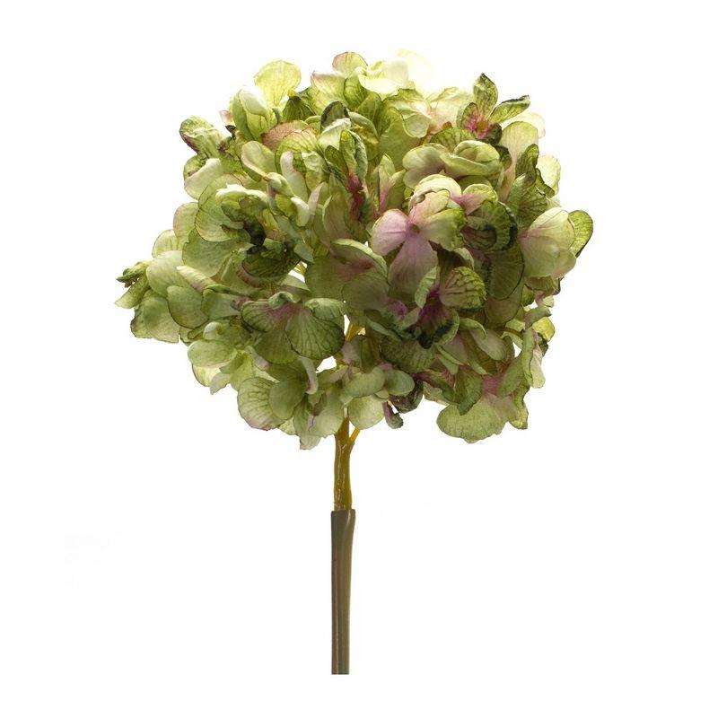 Melrose Green Hydrangea Flower Stems with Foliage Accents (Set of 6)