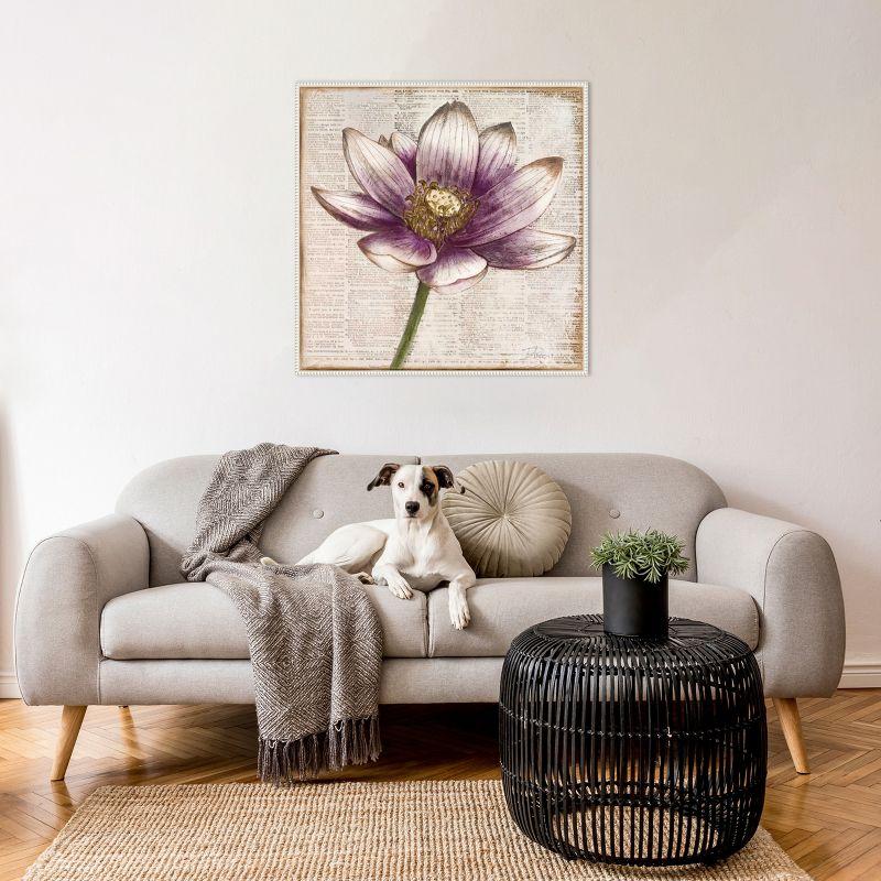 Amanti Art Defined Lotus Flower II by Patricia Pinto Canvas Wall Art Print Framed 30 x 30-in.
