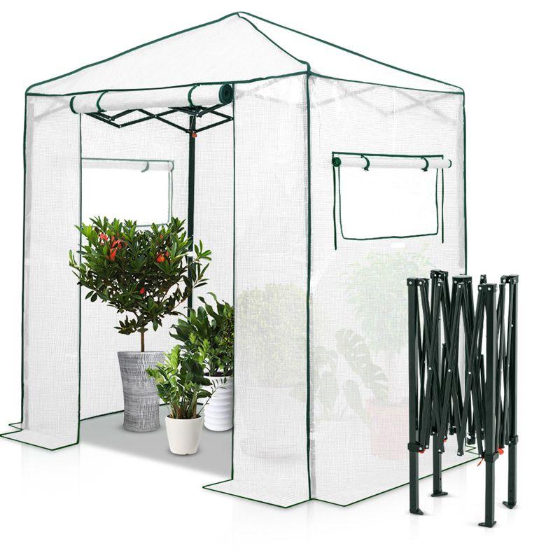 EAGLE PEAK Pop Up Greenhouses 6 ft x 4 ft Greenhouse