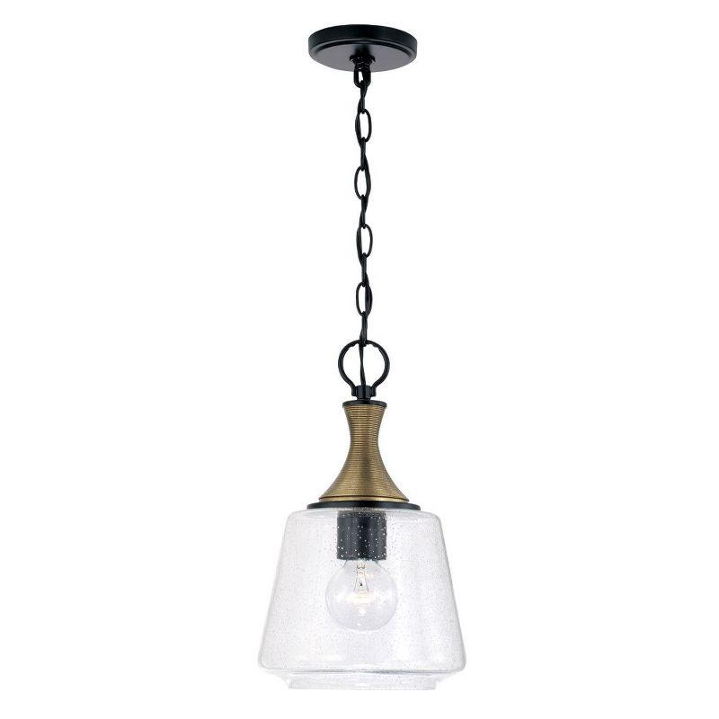 1 - Light Matte Black With Brass Single Pendant