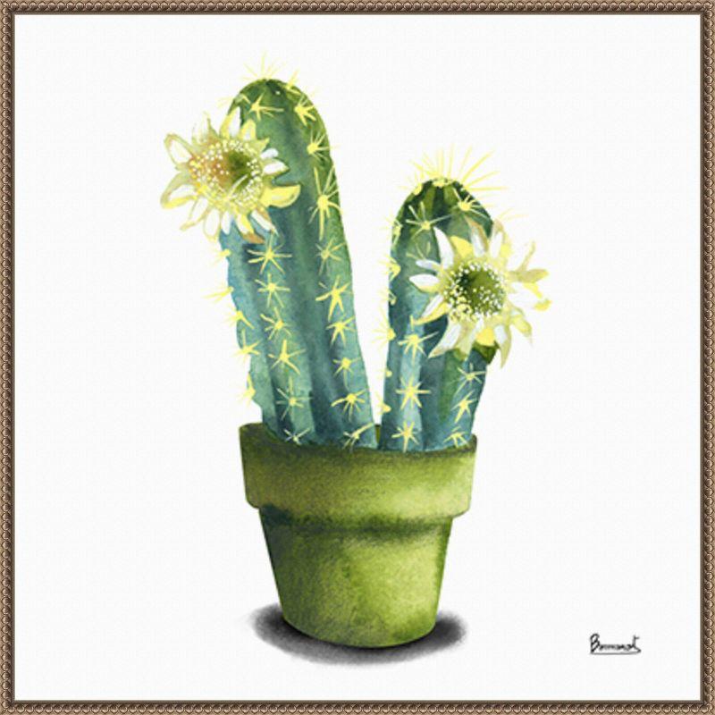 Amanti Art Cactus Flowers II by Bannarot Framed Canvas Wall Art Print