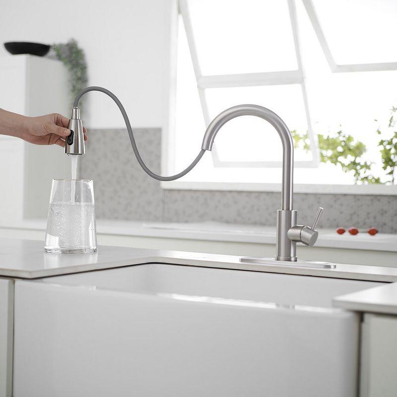 VIBRANTBATH Pull Out Kitchen Faucet