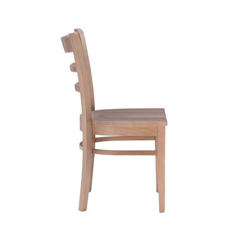 Set of 2 Darby Chairs - Linon