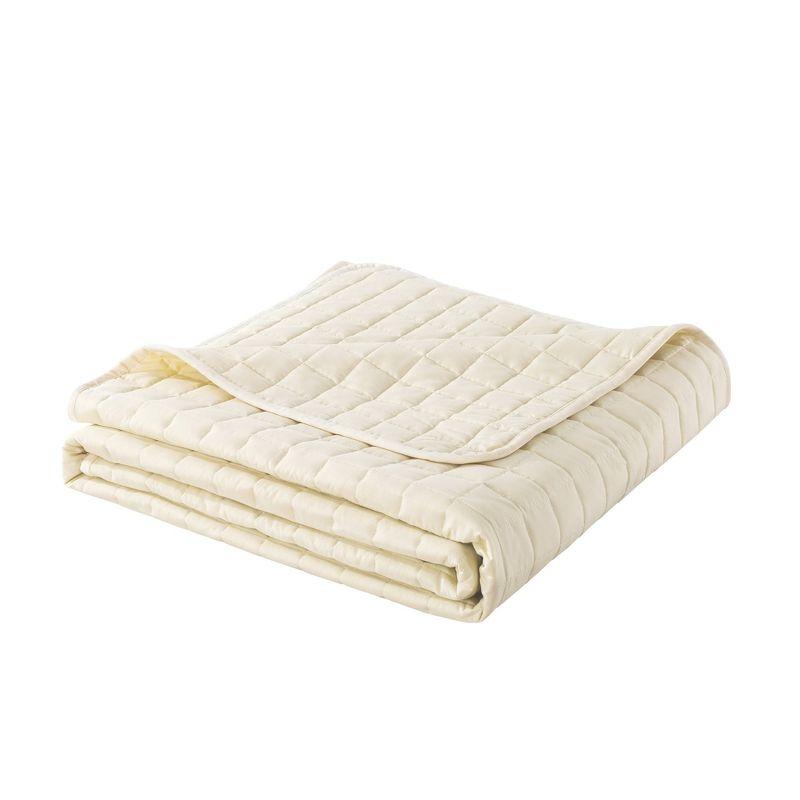 Twin Cream Down Alternative Velvet Trim Blanket