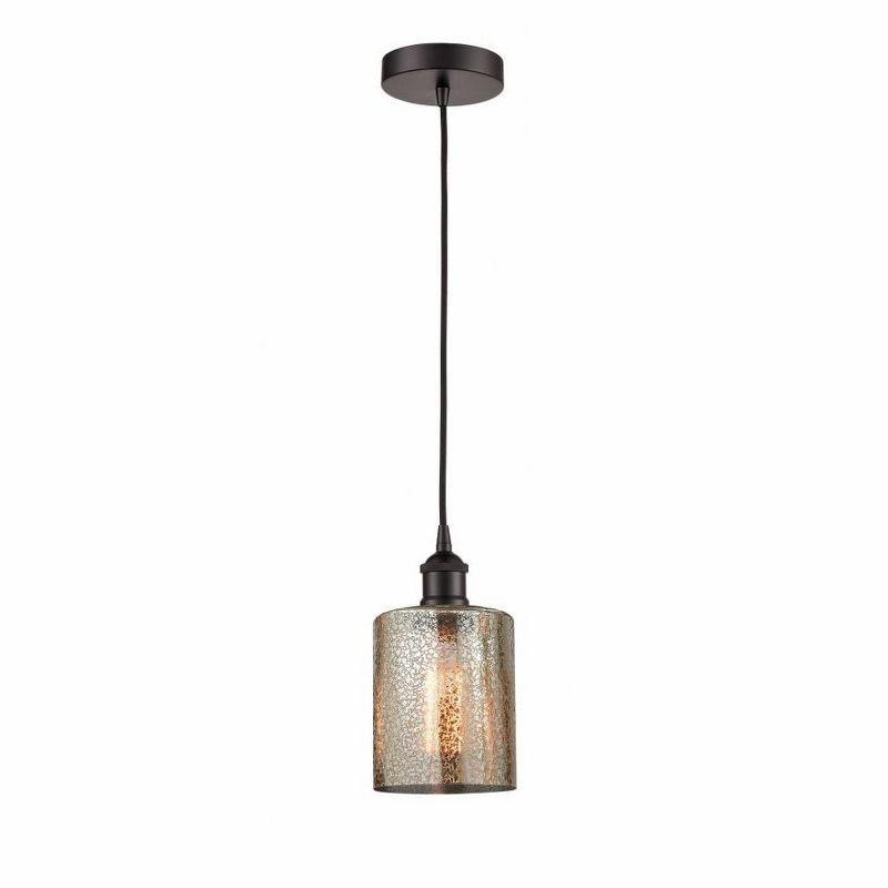 Cobbleskill 1 - Light Single Drop Pendant Pendant