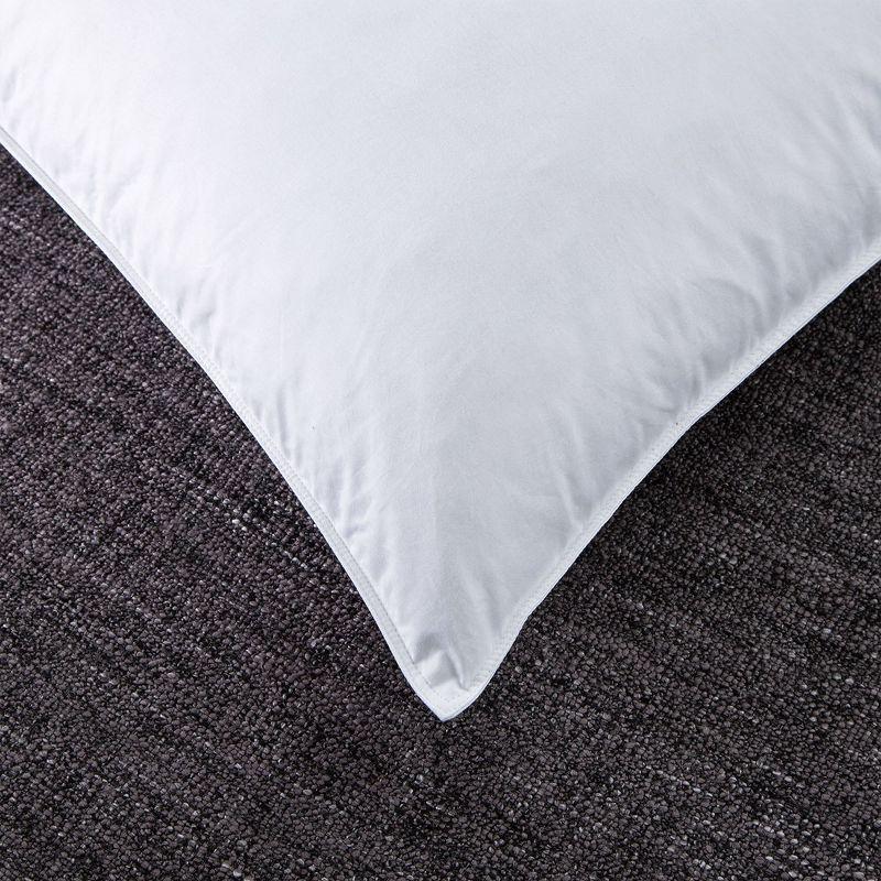 Standard White Feather and Polyester Bed Pillow Set