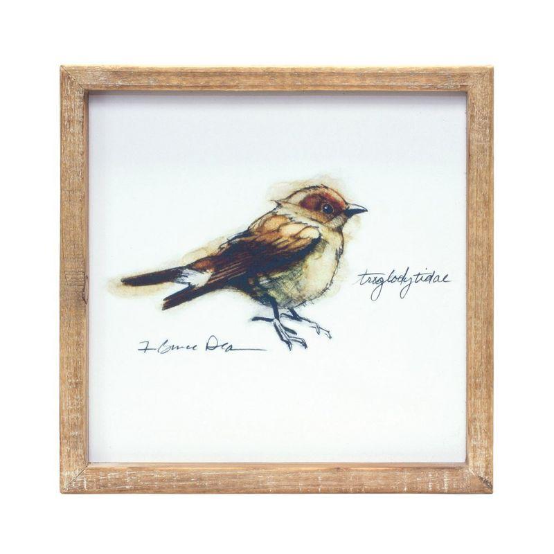 Melrose Wood Framed Bird Art Print (Set of 4)