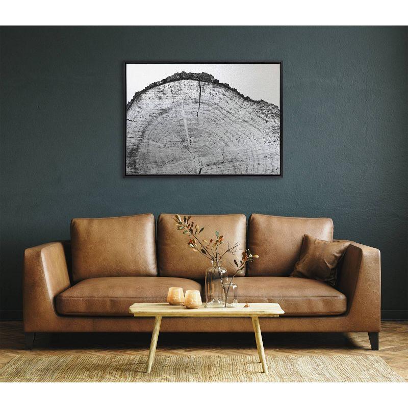 Kate & Laurel All Things Decor 28"x38" Sylvie Tree Rings BW Framed Metallic Canvas Wall Art by Emiko and Mark Franzen of F2Images