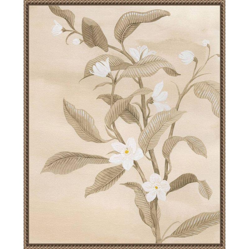 Amanti Art Sepia Orange Blossom Sketch II by Grace Popp Framed Canvas Wall Art Print