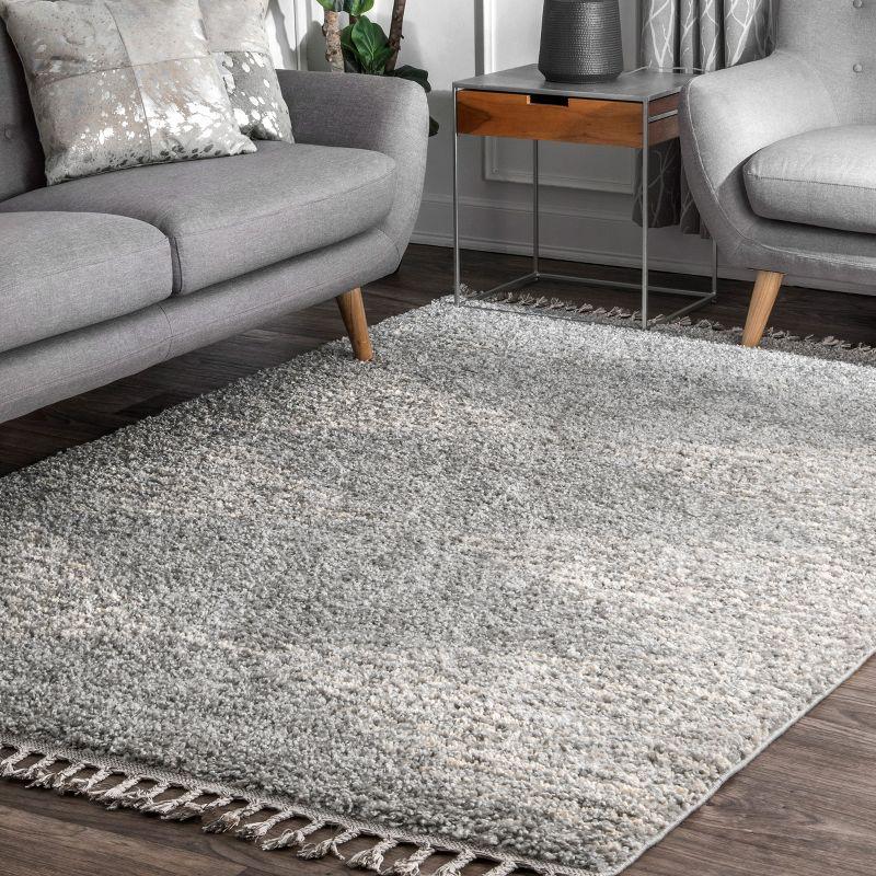 Gray Diamond Braided Shag 4' x 6' Synthetic Area Rug