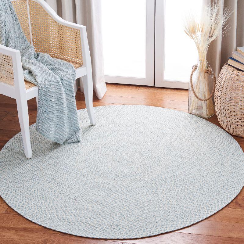 Braided BRD801 Hand Woven Area Rug  - Safavieh