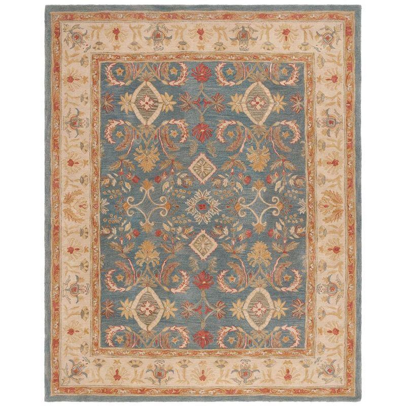 Anatolia AN544 Hand Tufted Area Rug  - Safavieh