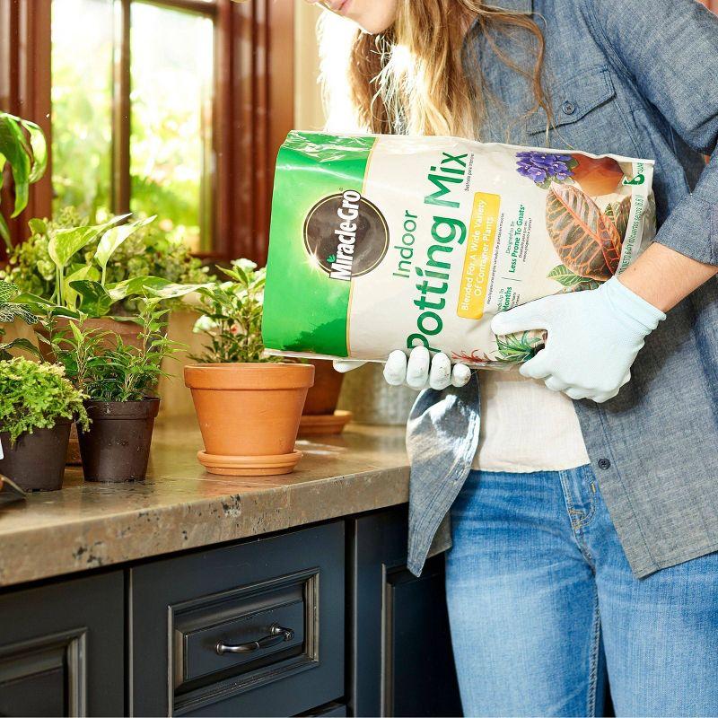 Miracle-Gro 6qt Indoor Potting Mix