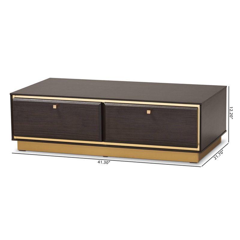 Modern Glamour Dark Brown Wood and Gold Metal Storage Coffee Table