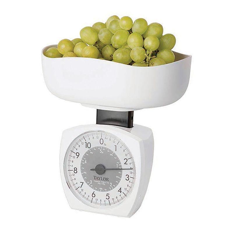 Taylor White Analog Kitchen Scale with 11 lb Capacity