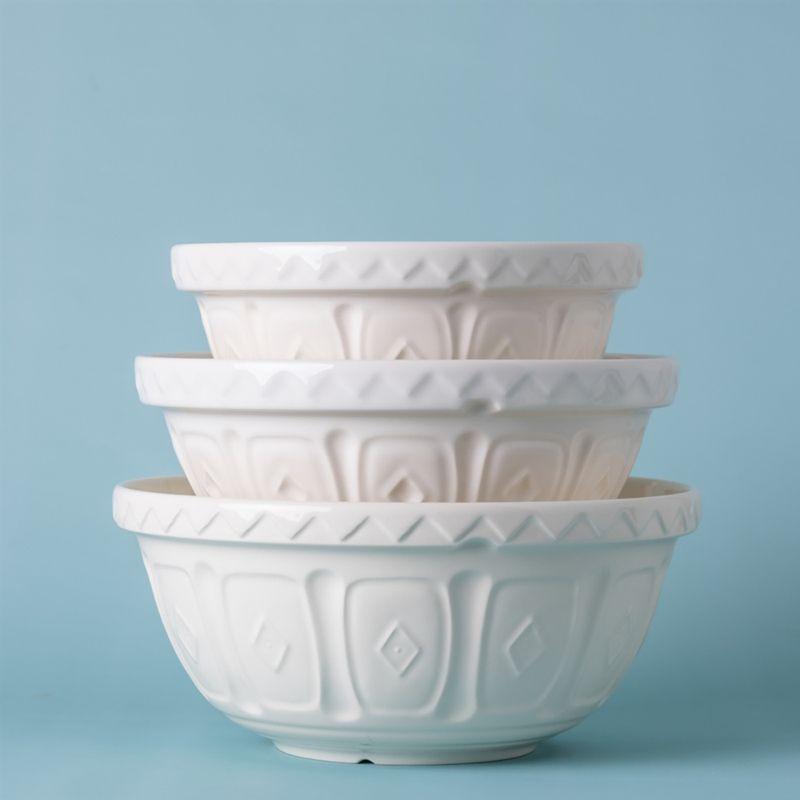 Mason Cash Color Mix Earthenware Mixing Bowl