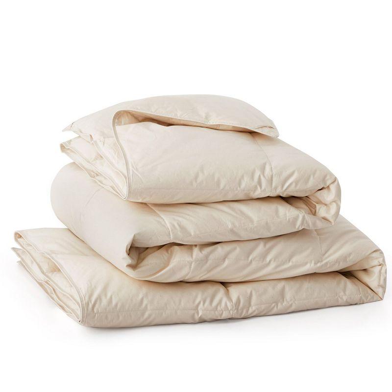 Puredown All Season Organic Cotton Down Comforter - 100% Natural, Chemical-Free, Medium Warmth Duvet Insert, Off-white, Full/Queen