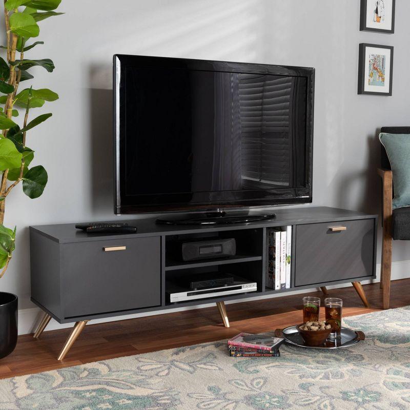 Contemporary Dark Grey and Gold 63" Wood TV Stand with Cabinet