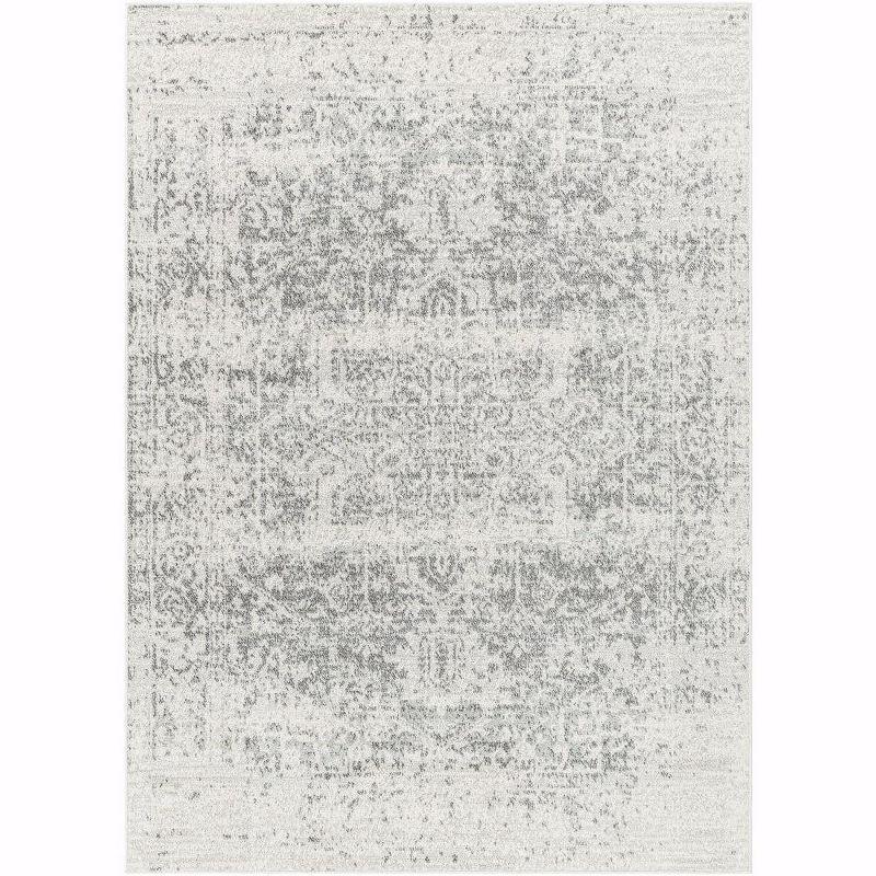Prisha Rug - Stone / 5'3" x 7'3"