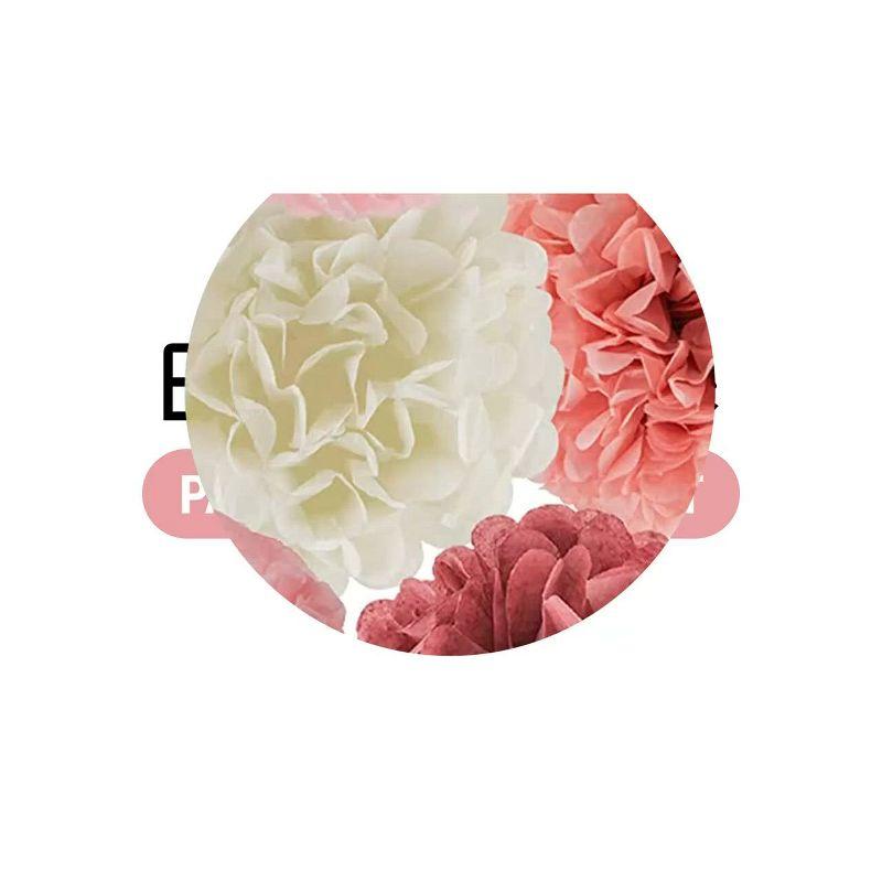 EpiqueOne 20 Piece Tissue Paper Pom Poms Party Kit - Colorful Paper Flower Wall Decorations - Pink Rose