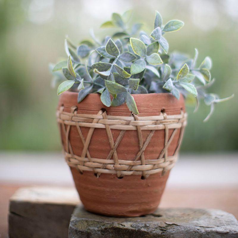 Natural Terracotta and Woven Rattan Planter, 7.25"