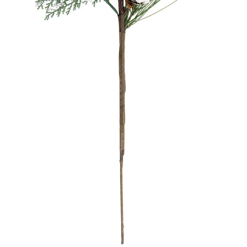 Northlight Frosted Mixed Pine and Berries Artificial Christmas Spray - 26"