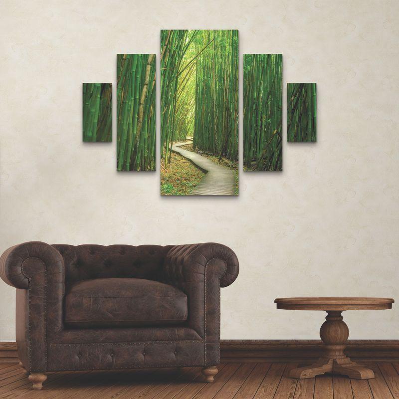 Dennis Frates Bamboo Path 5-Piece Green Canvas Wall Art Set