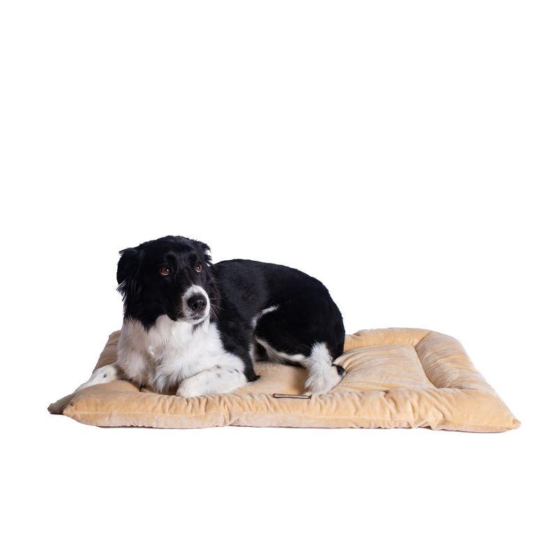 Armarkat Velvet Pet Bed