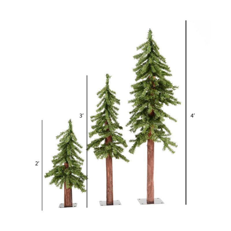 Vickerman Natural Alpine Artificial Christmas Tree Set