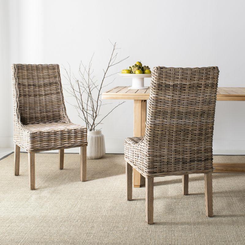 Armine Wicker Side Chair (Set of 2)