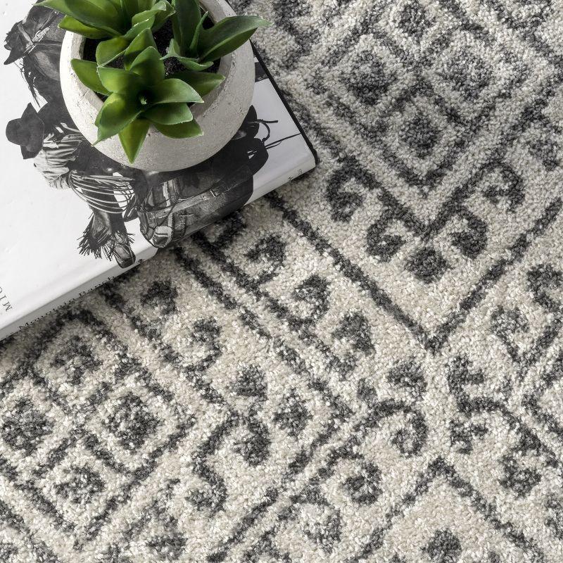 nuLOOM Camila Greek Diamond Trellis Area Rug