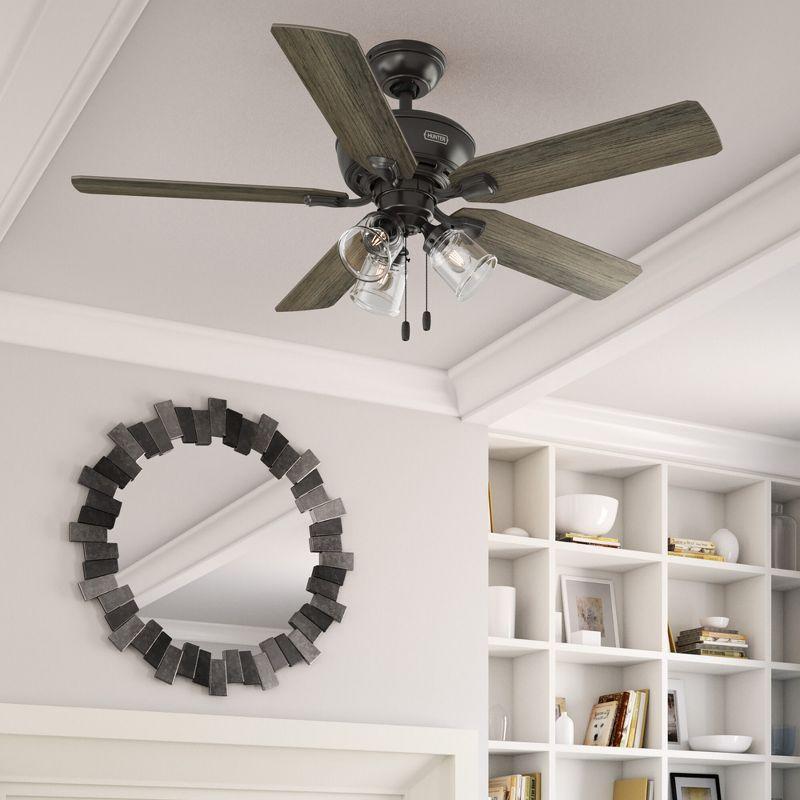 Hunter Fan 52" Rosner 5 - Blade Ceiling Fan With Lights and Pull Chains