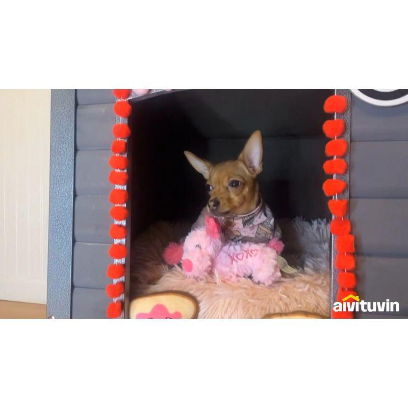Tucker Murphy Pet™ Eastlyn Portable Igloo Style Dog House