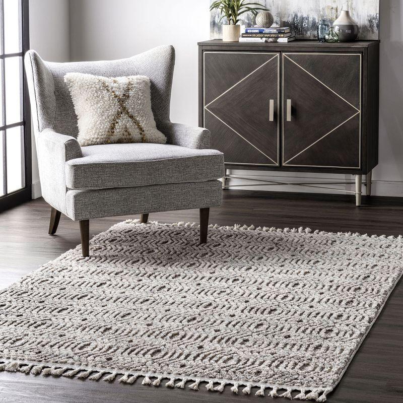 Reversible Shag Synthetic 4' x 6' Area Rug in Gray