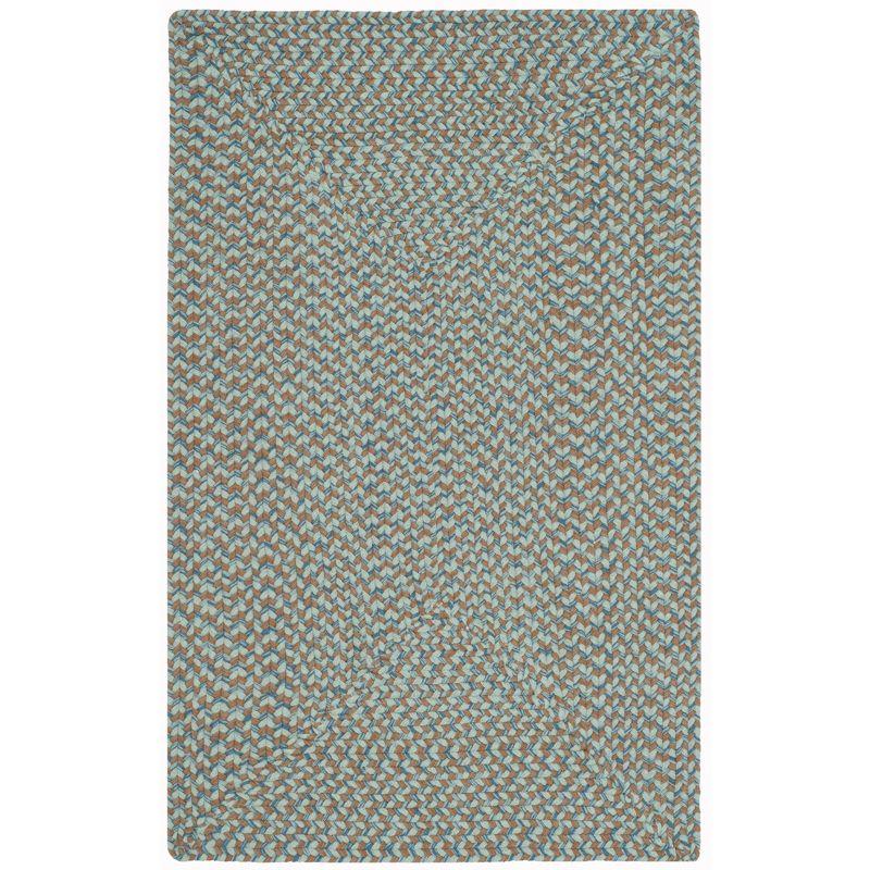 Braided BRD170 Hand Woven Area Rug  - Safavieh