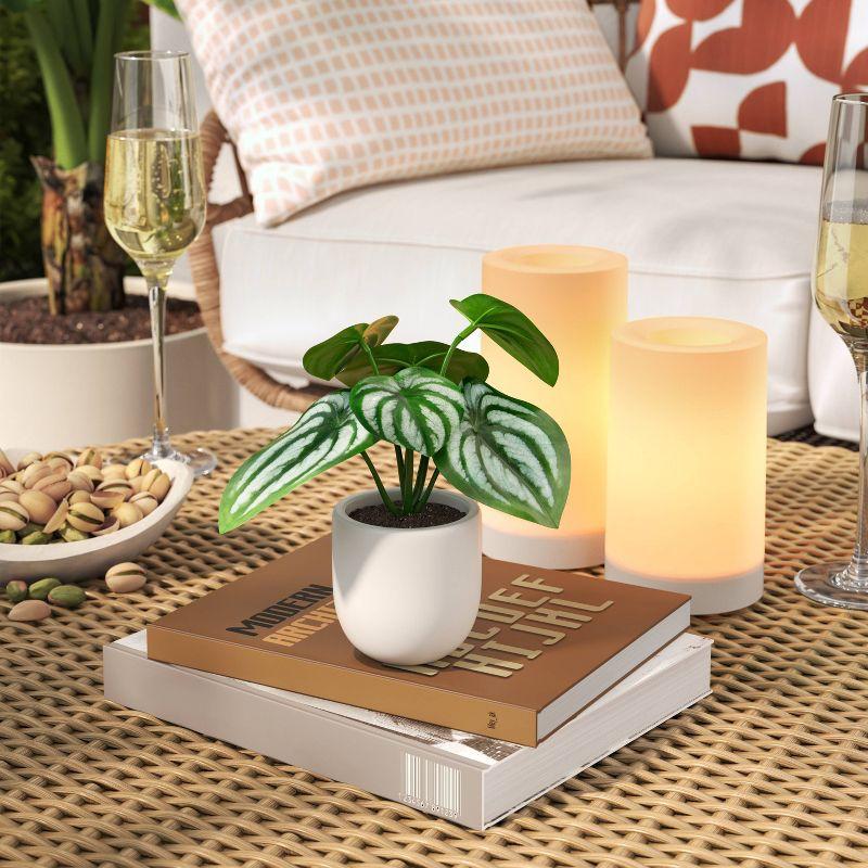 5.5" Mini Tabletop Peperomia  Artificial Plant - Threshold™