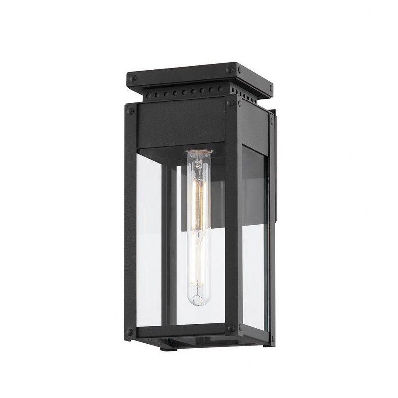 Troy Lighting Braydan 1 - Light Wall Light in  Textured Black Clear Shade
