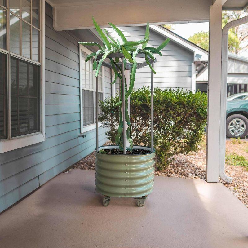 Vego Garden Self-Watering Rolling Dragon Fruit Outdoor Planter Pot with Trellis Olive Green 24"x24"x60"