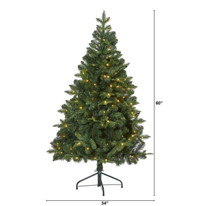 5ft Nearly Natural Pre-Lit LED Grand Teton Spruce Flat Back Artificial Christmas Tree Clear Lights