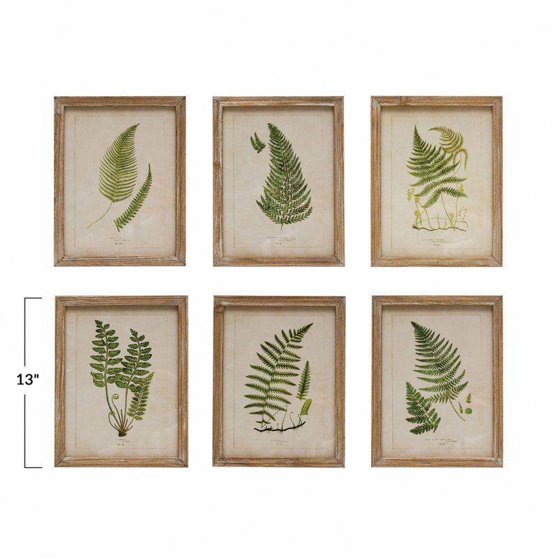 Natural Wood Framed Fern Botanical Wall Art Set of 6